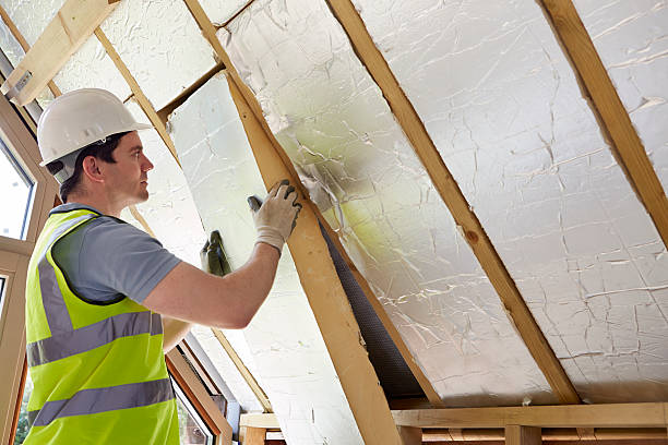 Best Geographic-Specific Insulation Services in First Mesa, AZ